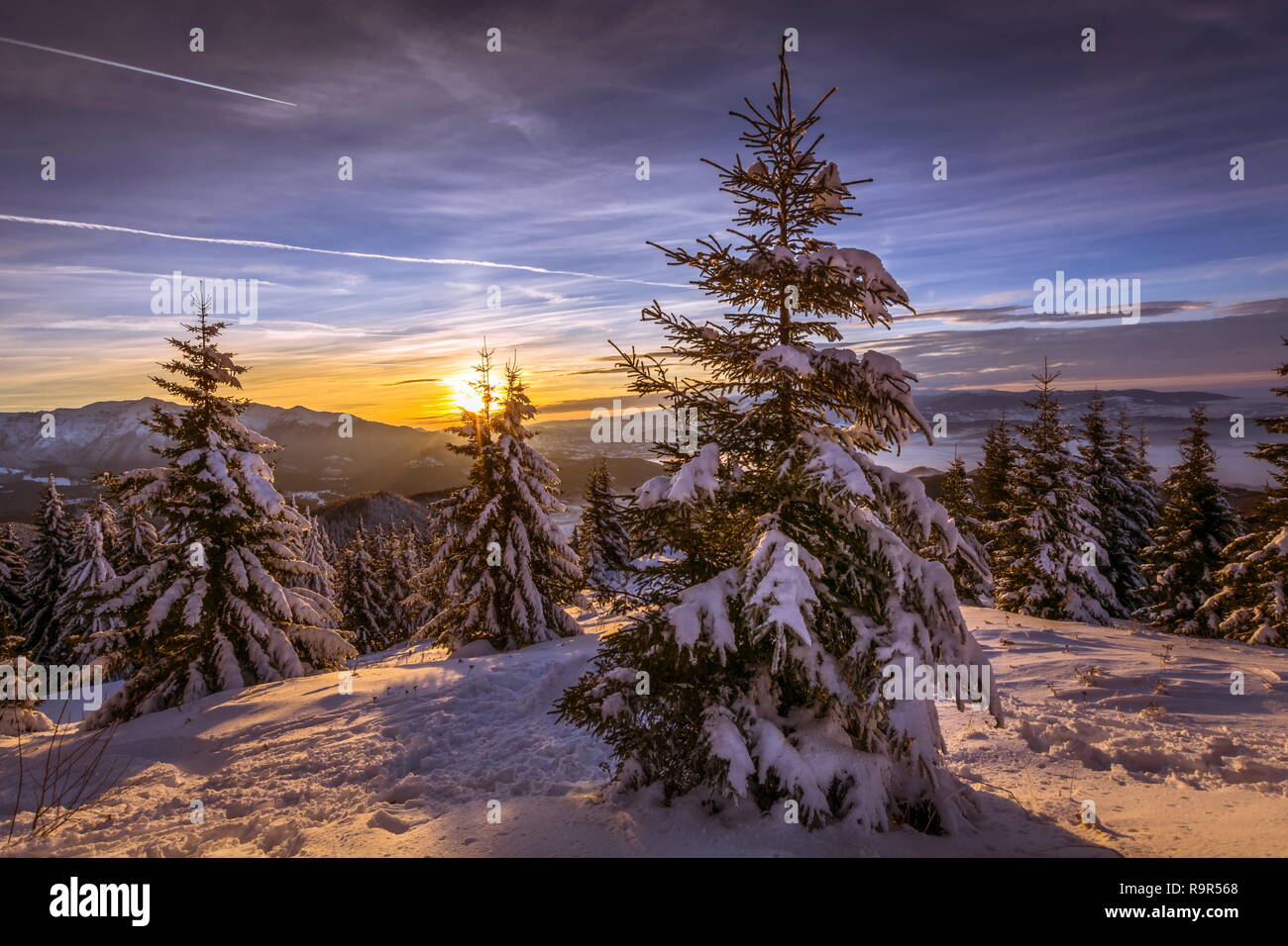 beautiful winter scene landscape at sunset - great winterscape wallpaper from Poiana Brasov Romania Stock Photo