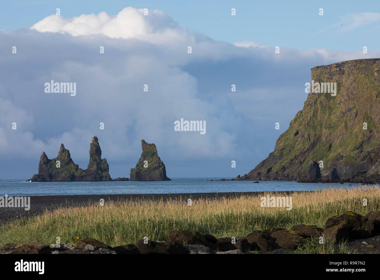 Felsen, Felsnadeln, Reynisdrangar an der Küste von Vík í Mýrdal, „Bucht am sumpfigen Tal“, Vik i Myrdal,  liegt in der isländischen Gemeinde Mýrdalur  Stock Photo