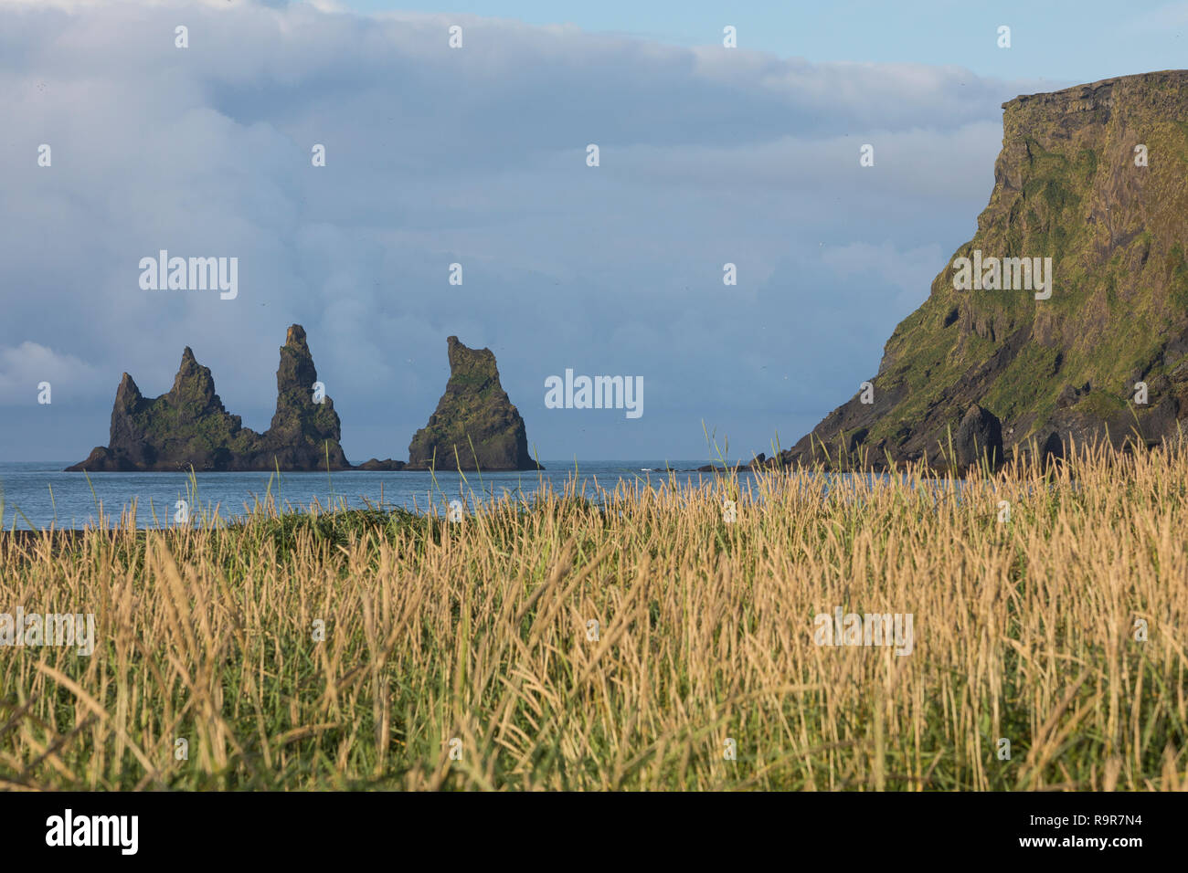 Felsen, Felsnadeln, Reynisdrangar an der Küste von Vík í Mýrdal, „Bucht am sumpfigen Tal“, Vik i Myrdal,  liegt in der isländischen Gemeinde Mýrdalur  Stock Photo