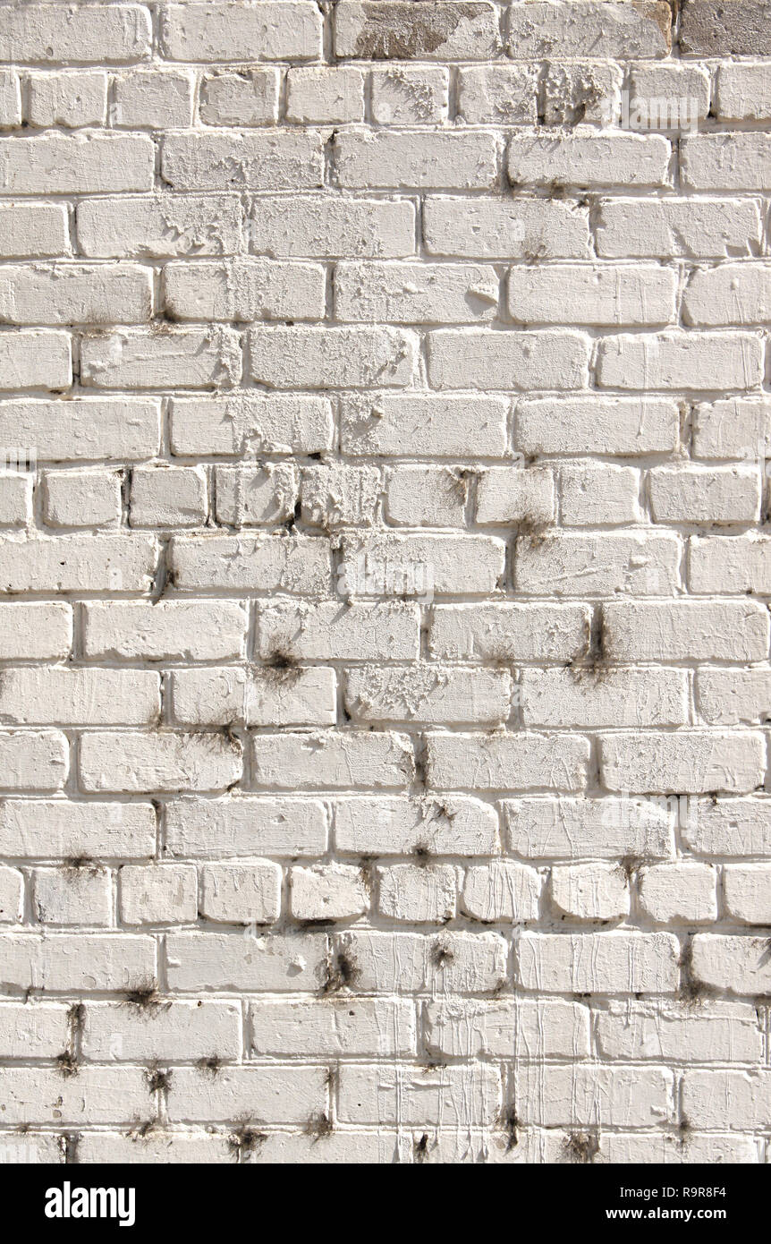 Grunge background - texture of old brick wall painted with white paint ...