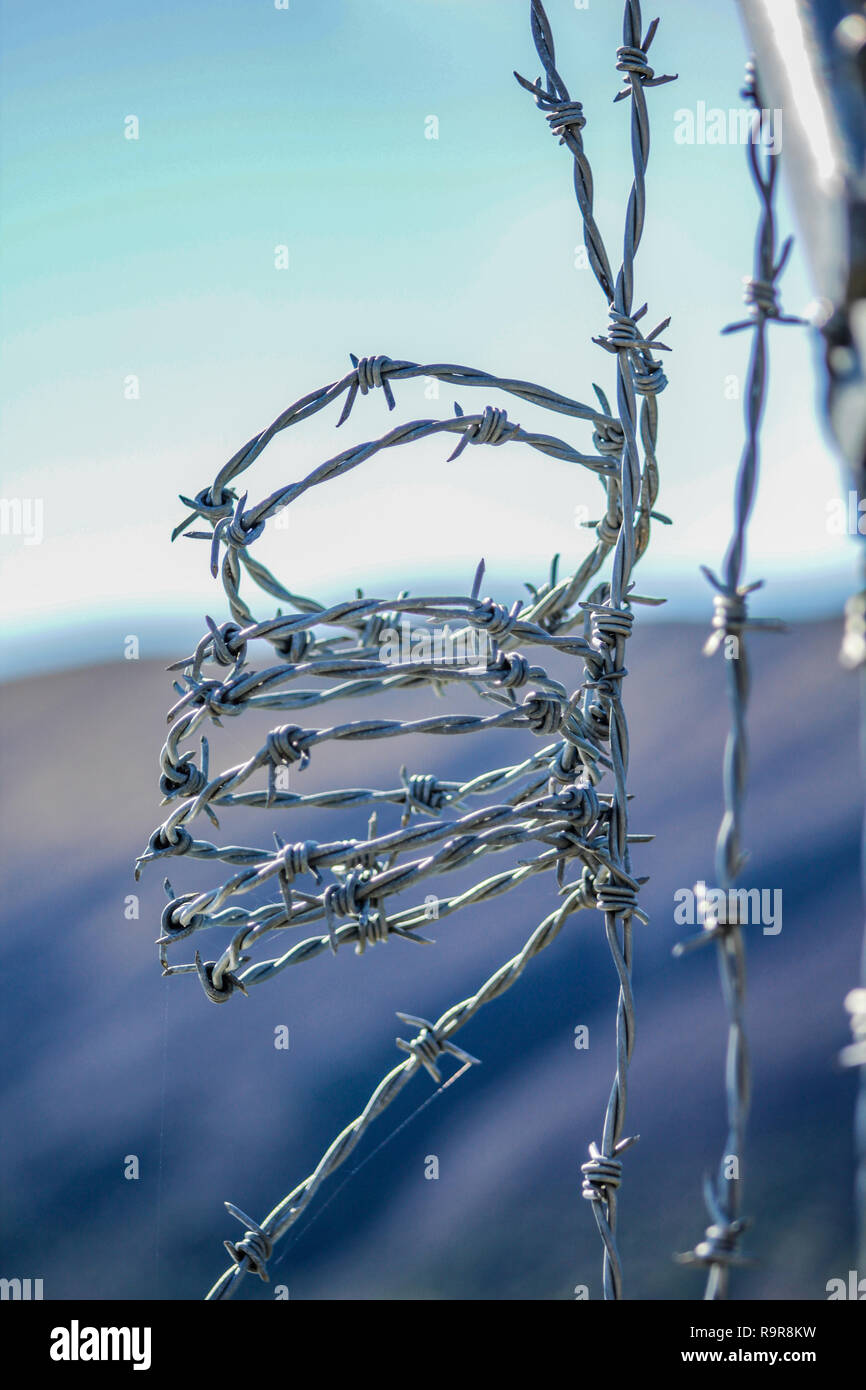 barbed wire fence for protection at Lake Coleridge, New Zealand Stock