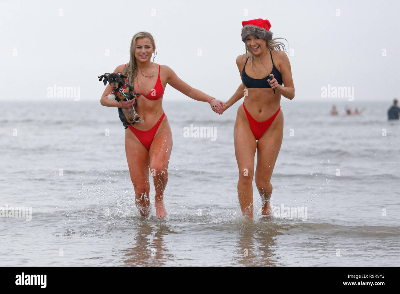 Pictured: Two young women in bikinis and Santa hats run in the sea.  Tuesday 25 December 2018 Re: Hundreds of people take part in this year's Porthcaw Stock Photo