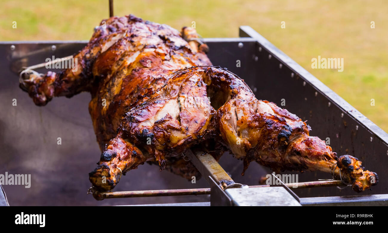 Lamb spit rotisserie hot sale