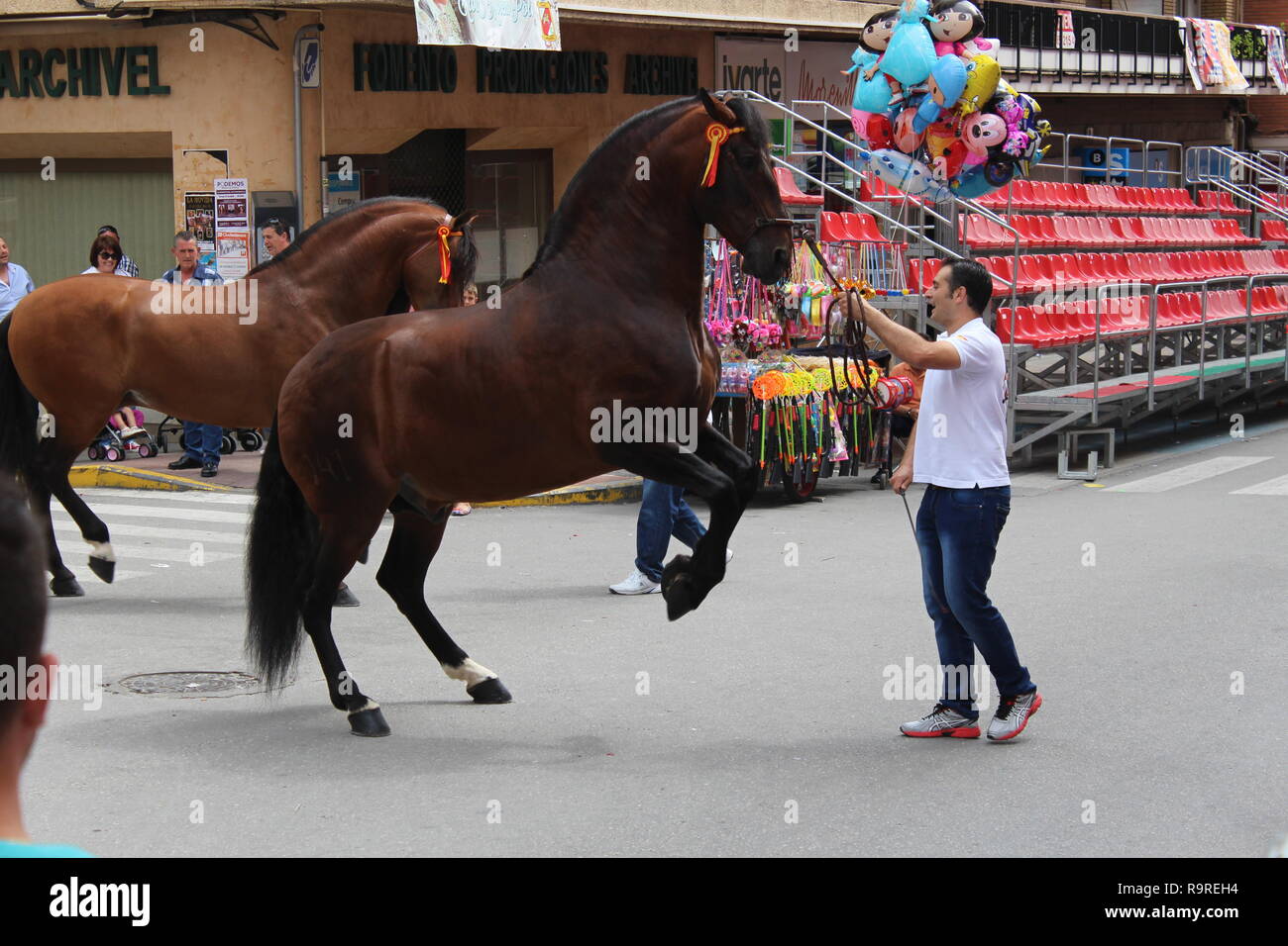 Horses parading before the start of the Los Caballos Del Vino in Caravaca de la Cruz. Stock Photo