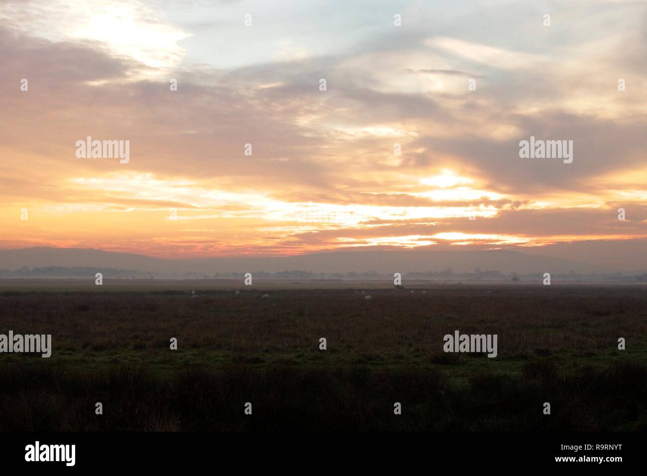 Pevensey Levels, UK. 27th Dec, 2018. UK weather. The sun sets over the South Downs as mist and fog rolls onto the fields of the Pevensey Levels, East Sussex, UK. Credit: Ed Brown/Alamy Live News Stock Photo