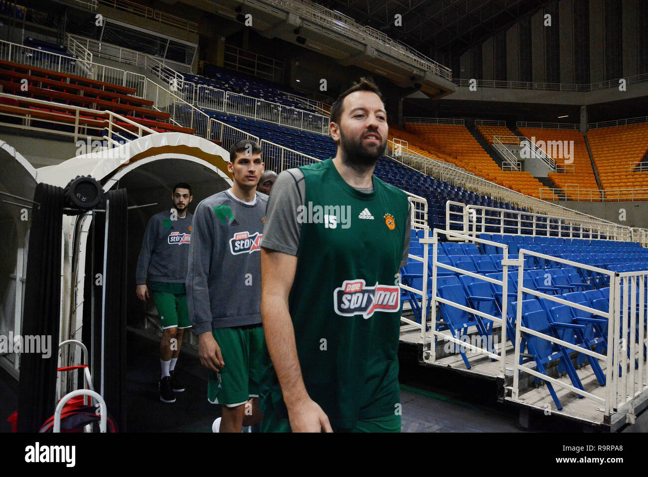 panathinaikos basketball roster