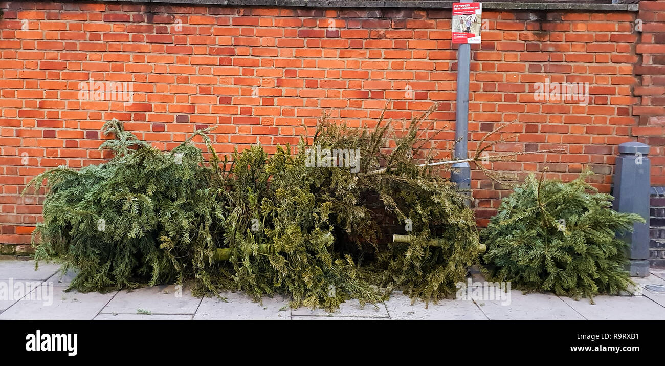 Christmas trees dumped on pavement hires stock photography and images