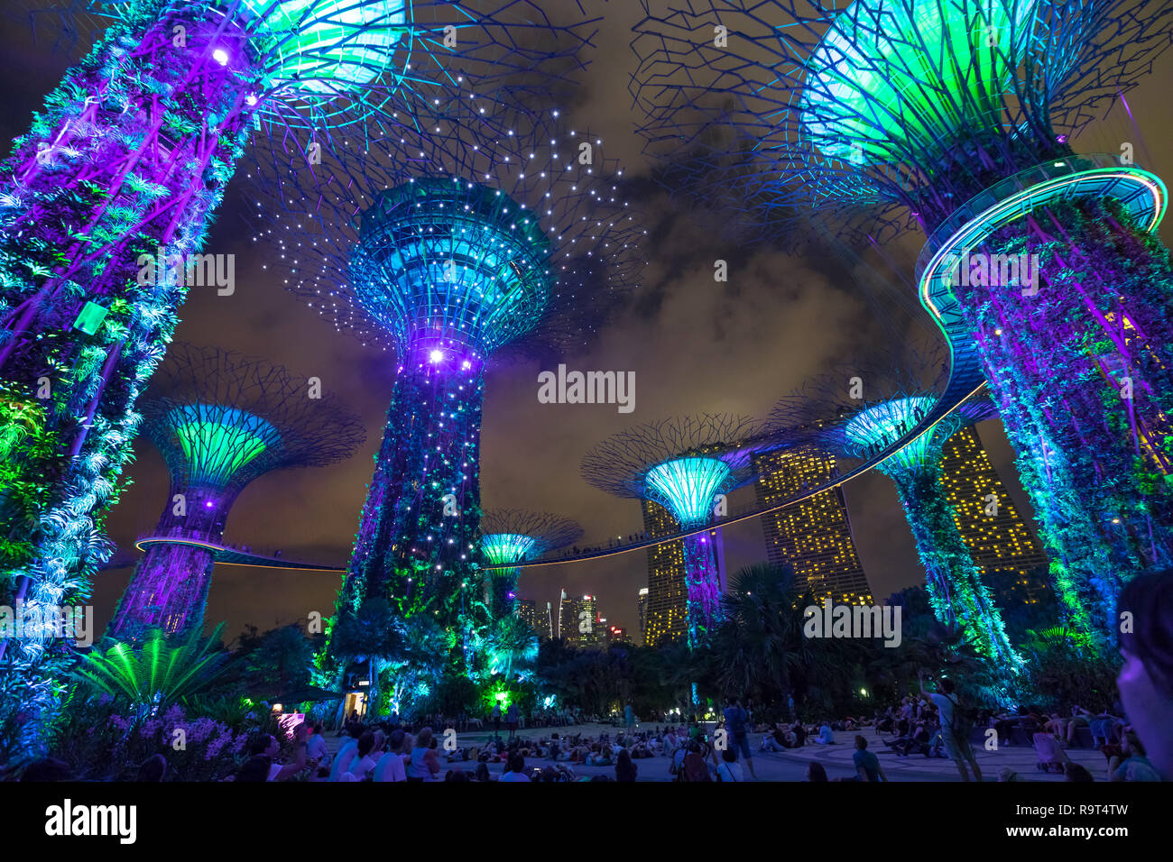 Singapore - April 30, 2018: purple, blue and green lighting during light and sound shows on Supertree Grove with Skyway at Gardens by the Bay. People enjoy the popular tourist attraction. Stock Photo