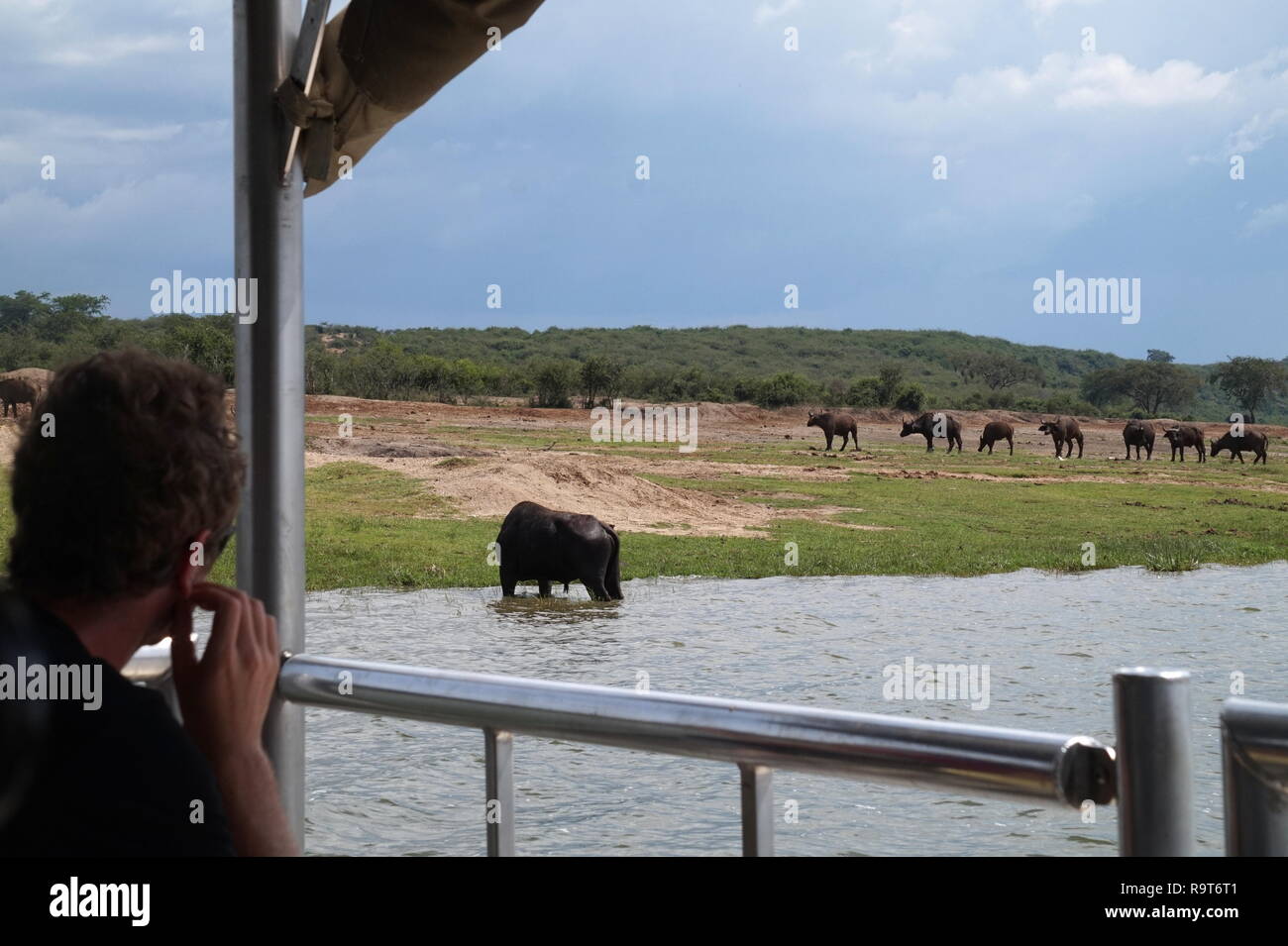 Tourists on a boat trip watching animals bathing in the Kazinga Channel in Queen Elizabeth National Park, Uganda Stock Photo