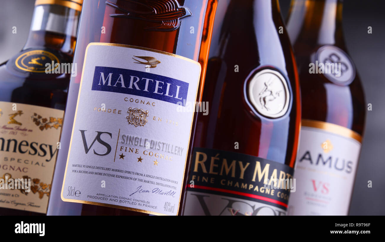 3本 REMY MARTIN CAMUS MARTELL コニャック レミーマルタン REMY MARTIN 3本 コニャック セントーナポレオン