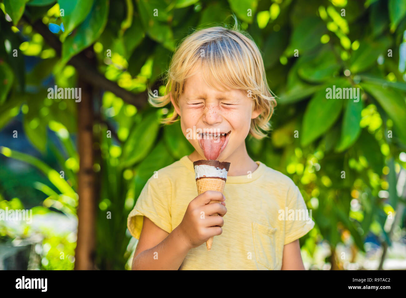 Outdoor portrait of happy boy with ice cream in waffles cone. Cute child holding ice-cream and making gladness face while walking in the park Stock Photo