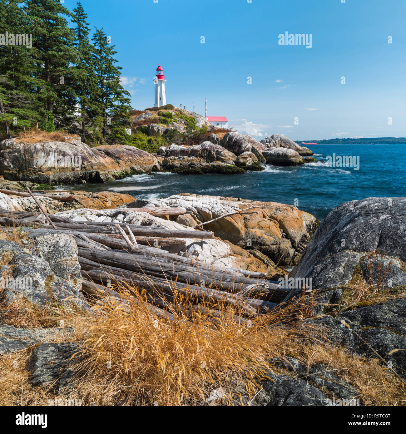 Standing at Shore Pine Point looking across the rocks & logs in the bay towards Point Atkinson Lighthouse in West Vancouver Stock Photo