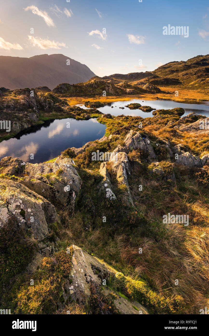 Towards the summit of Haystacks, Innominate Tarn is bathed autumnal golden light reflecting the clouds in the say & surrounded rocky crags Stock Photo