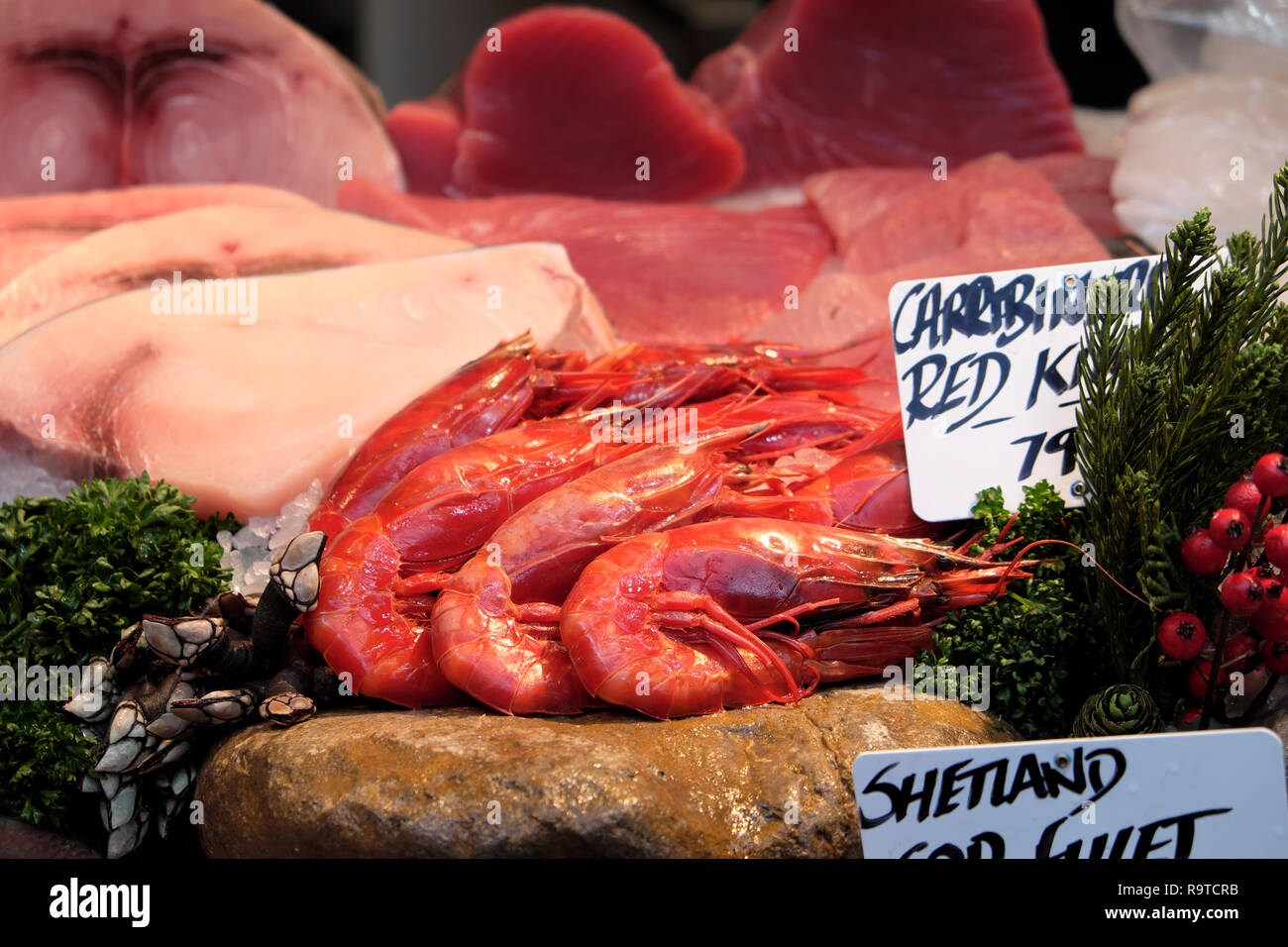 Fresh giant shrimp crustaceans on Borough Market fish stall counter in Southwark, South London England UK  KATHY DEWITT Stock Photo