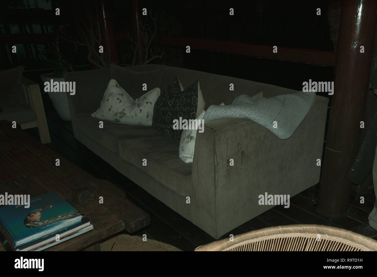 Damage to furniture caused by a young hippo that walked into a game reserve lodge in the night and began eating the sofa. Employees about in the early Stock Photo
