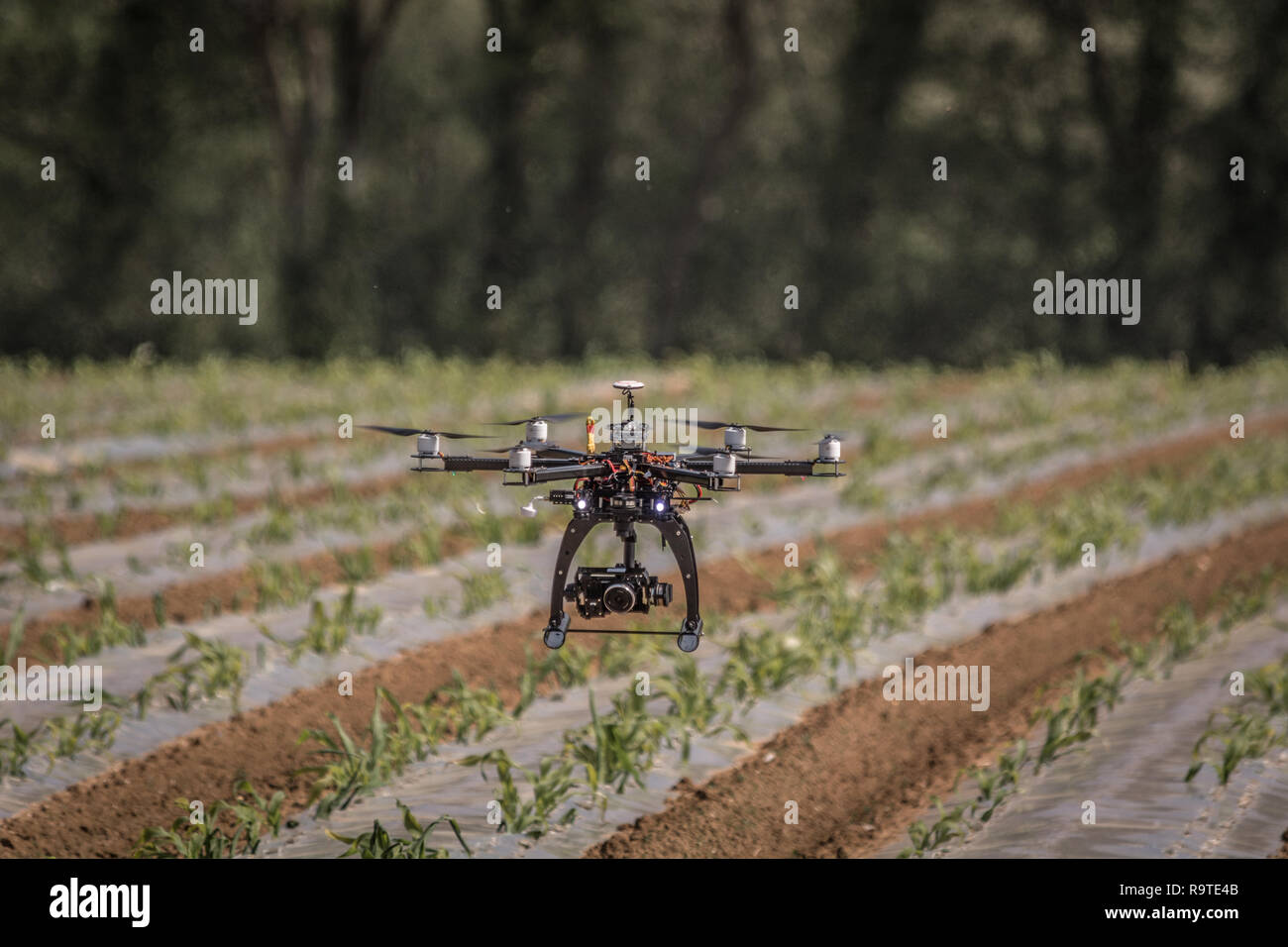 Hexacopter flying oer agricultural land so farmers can review soil and