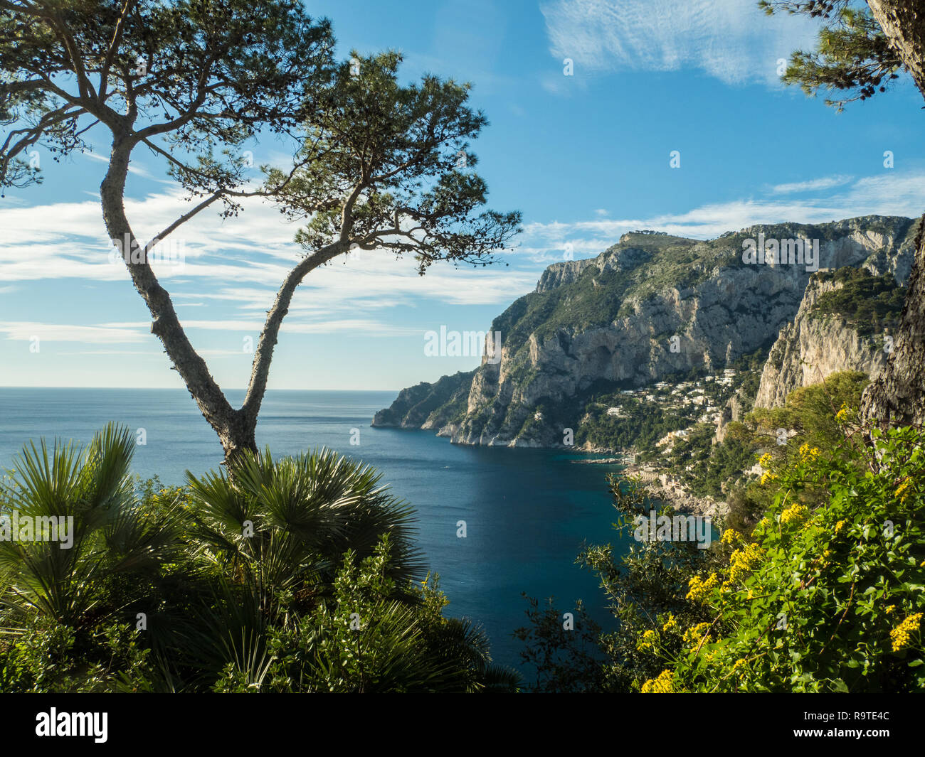 Island of Capri in the region of Campania, Italy Stock Photo - Alamy