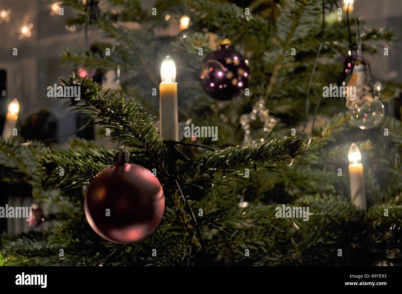 beautiful candles shining on a christmas tree with purple decorations, festive atmosphere Stock Photo