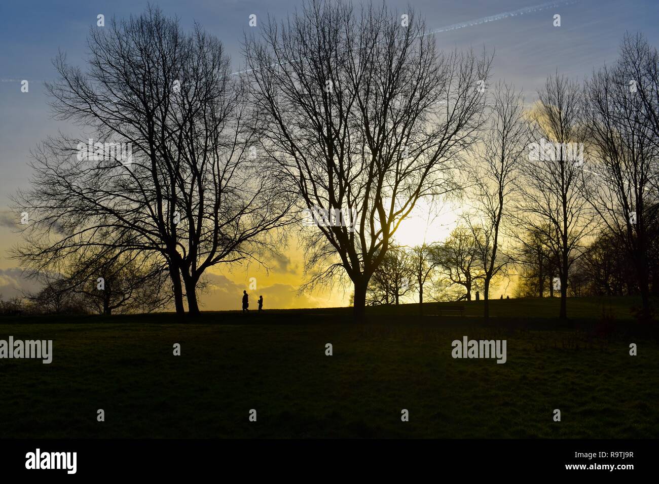 Sunset walk hampstead heath hi-res stock photography and images - Alamy