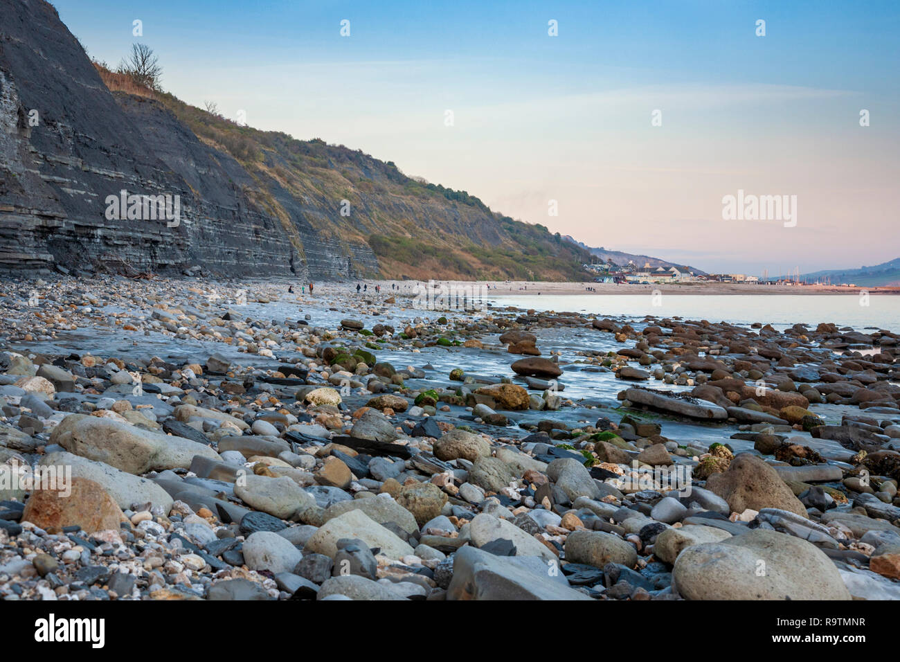 Fossil hunters on Monmouth Beach below the Ware cliffs at Lyme Regis