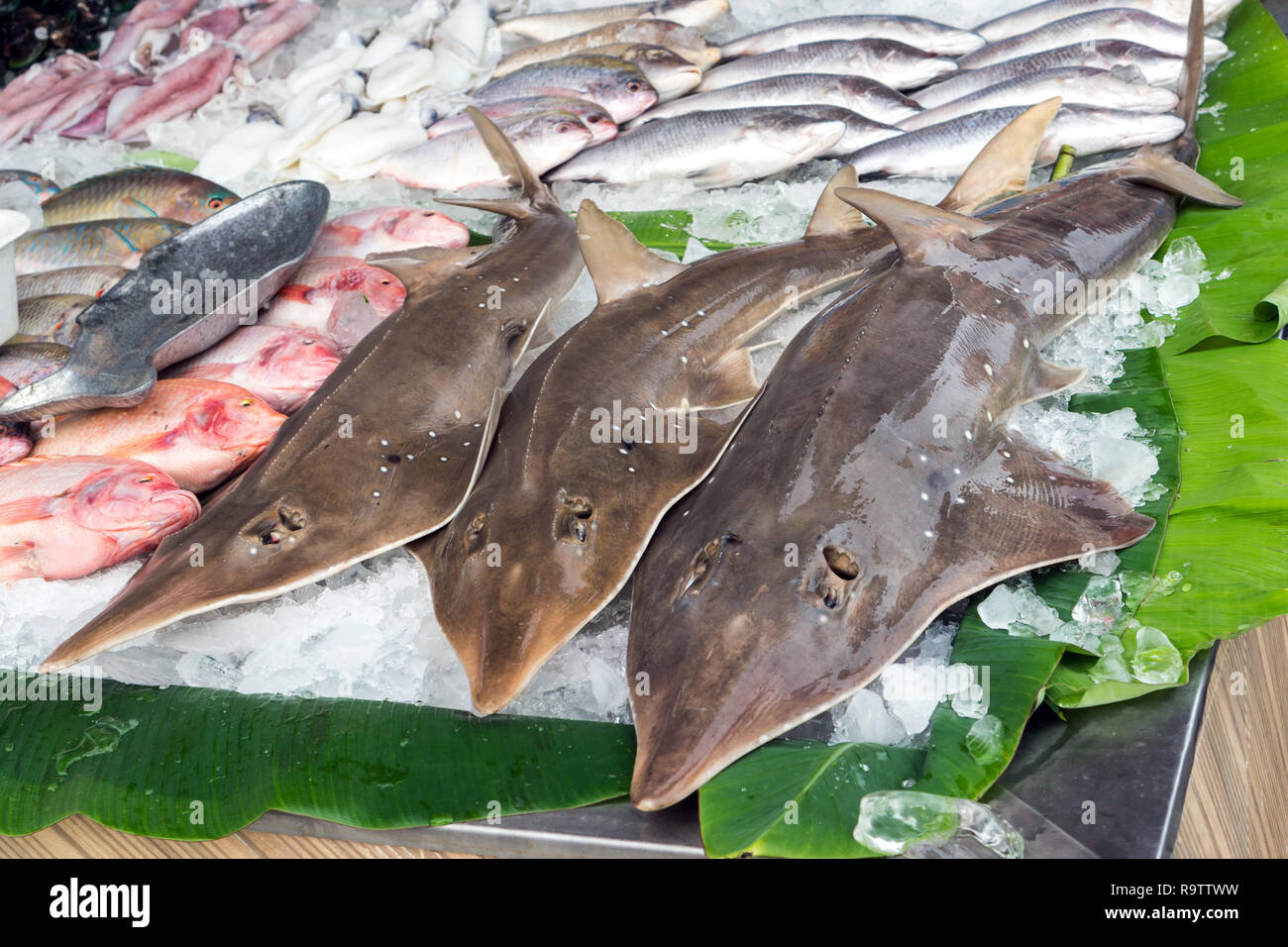 Fresh Seafood Catch, Sharks and Fish on Ice for Sale on Street Outside a Restaurant in Phuket, Thailand Stock Photo