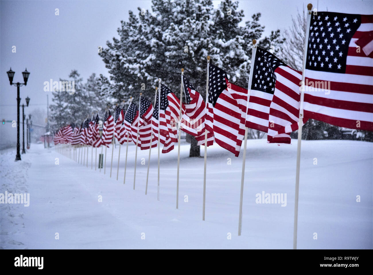 American Flags line the street on a snowy day in February. Stock Photo
