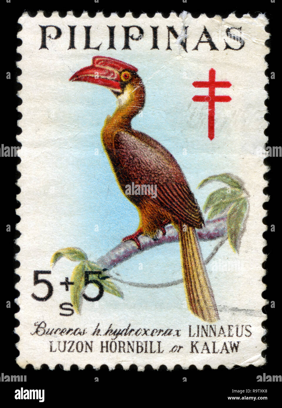 Postage stamp from the Philippines in the Fight against tuberculosis – Native Birds series issued in 1967 Stock Photo