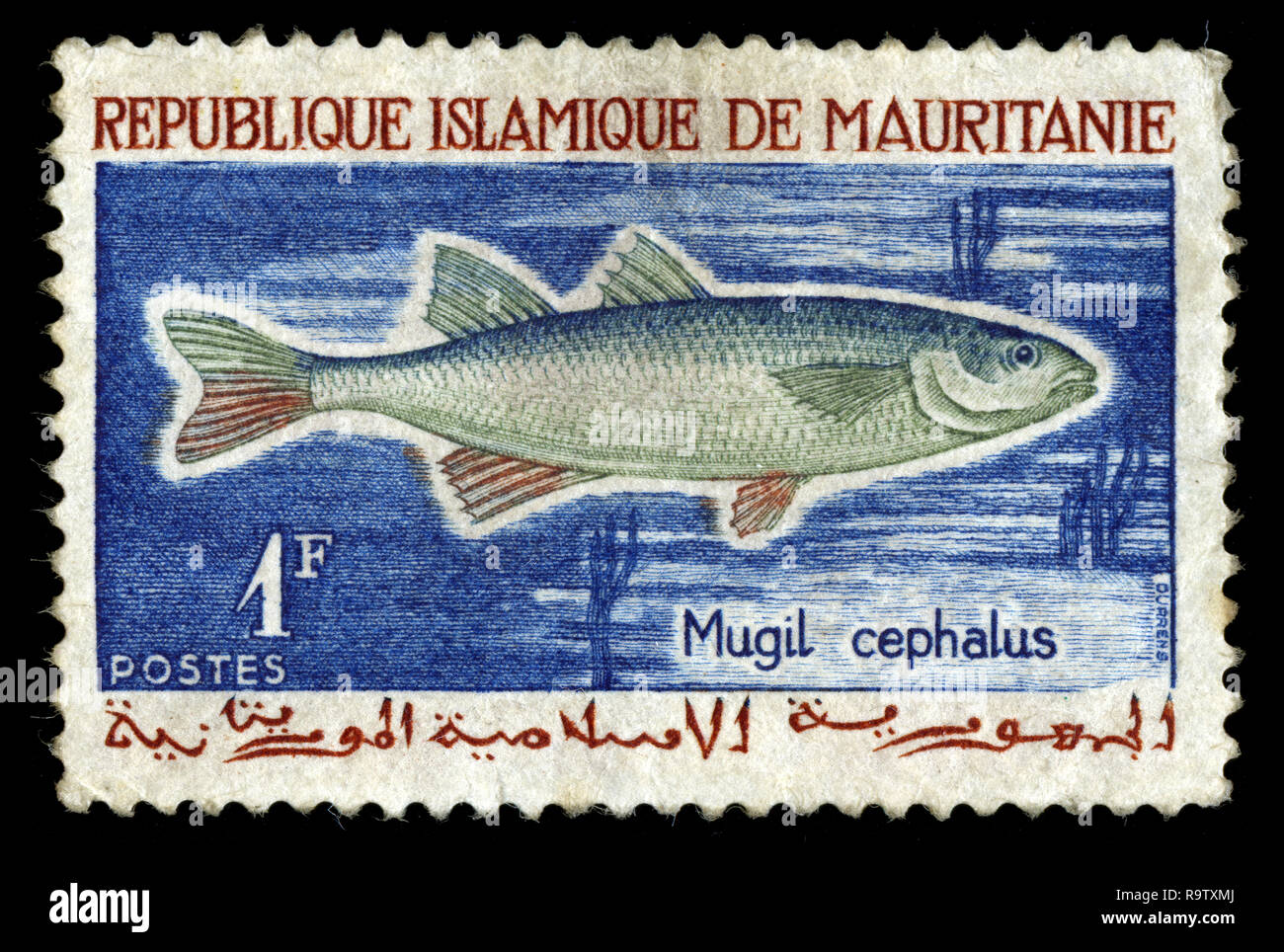 Postage stamp from Mauritania in the Fishing series issued in 1964 Stock Photo