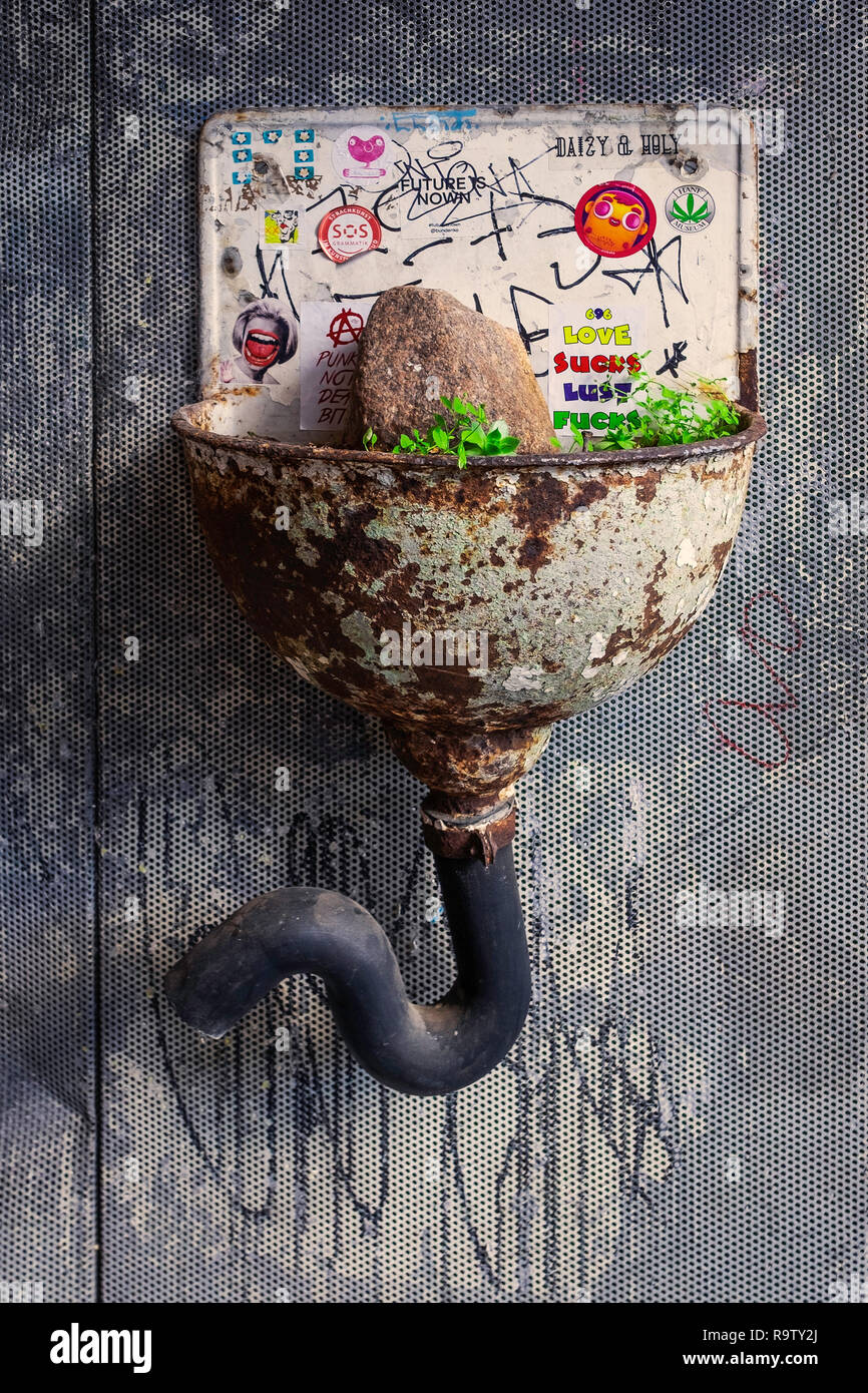 Rusty old water container, basin, sink used as planter for plant. Graffiti covered basin. Stock Photo