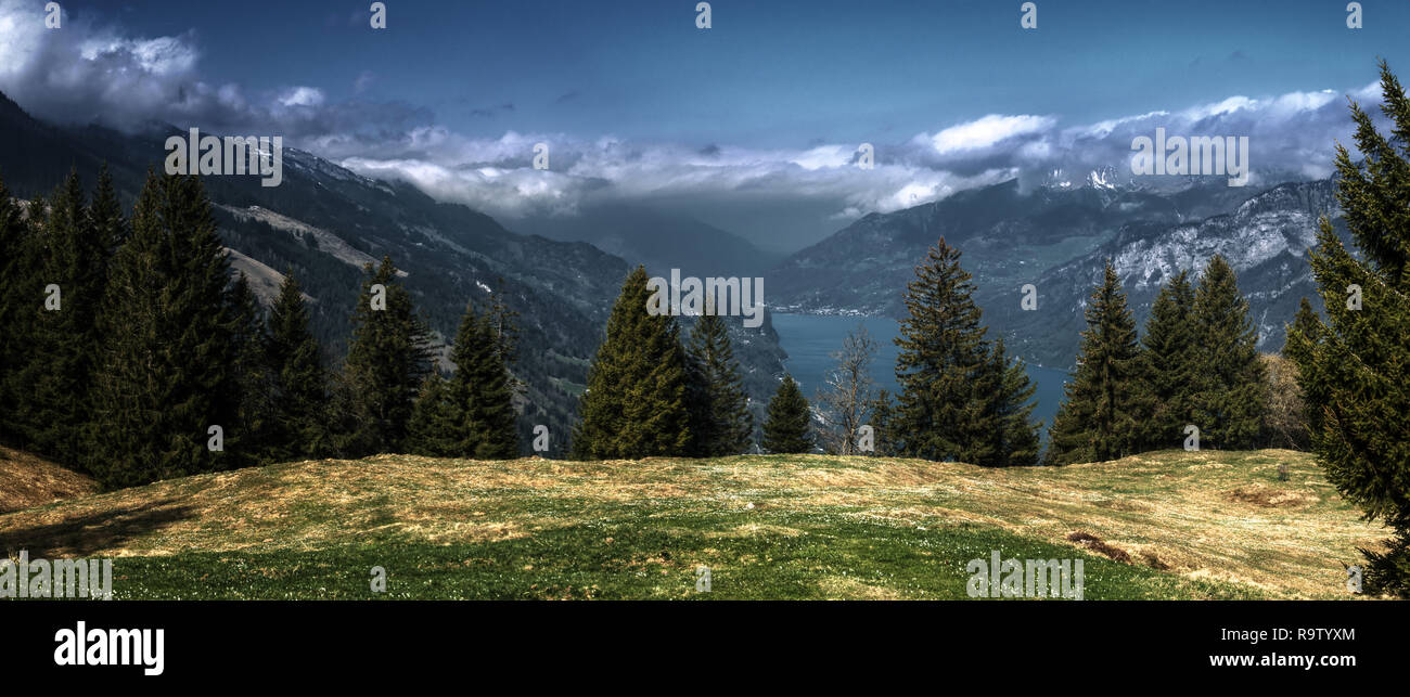 Walensee Spring The Walensee seen from Walenstadtberg on a clear, Spring day Stock ...