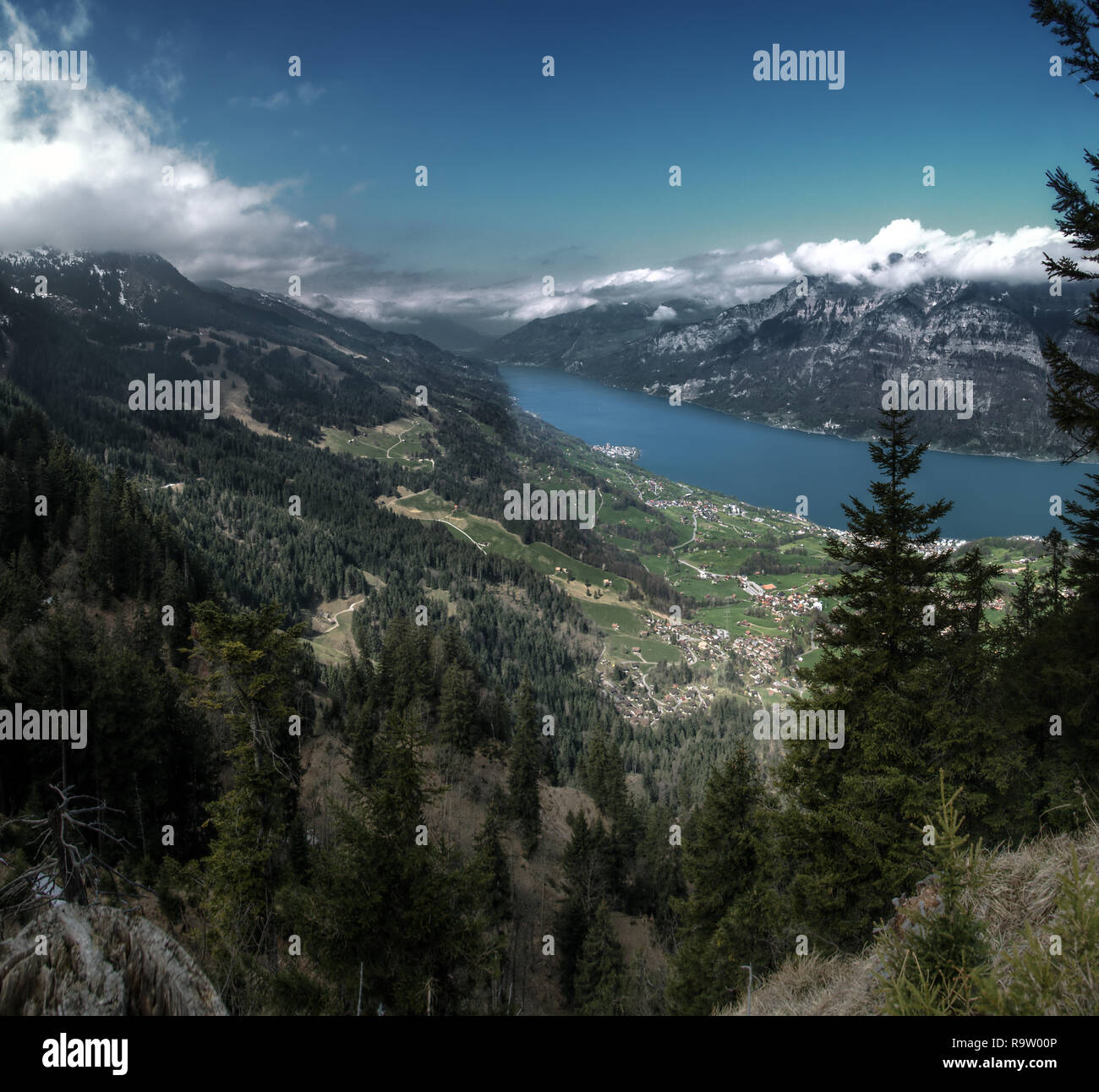 Walensee Spring The Walensee seen from Walenstadtberg on a clear, Spring day Stock ...