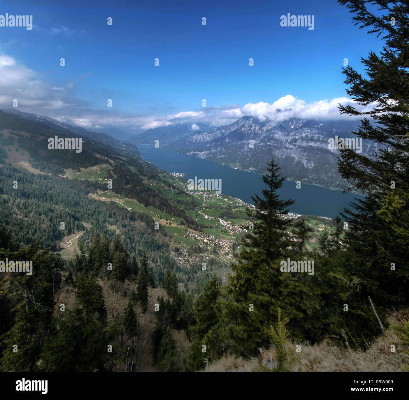 Walensee Spring The Walensee seen from Walenstadtberg on a clear, Spring day Stock ...
