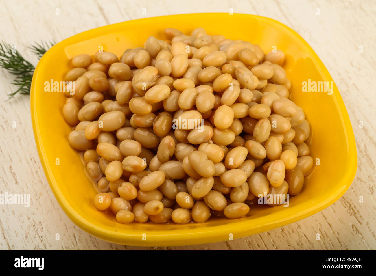 White kidney bean in the bowl with dill branch Stock Photo Alamy
