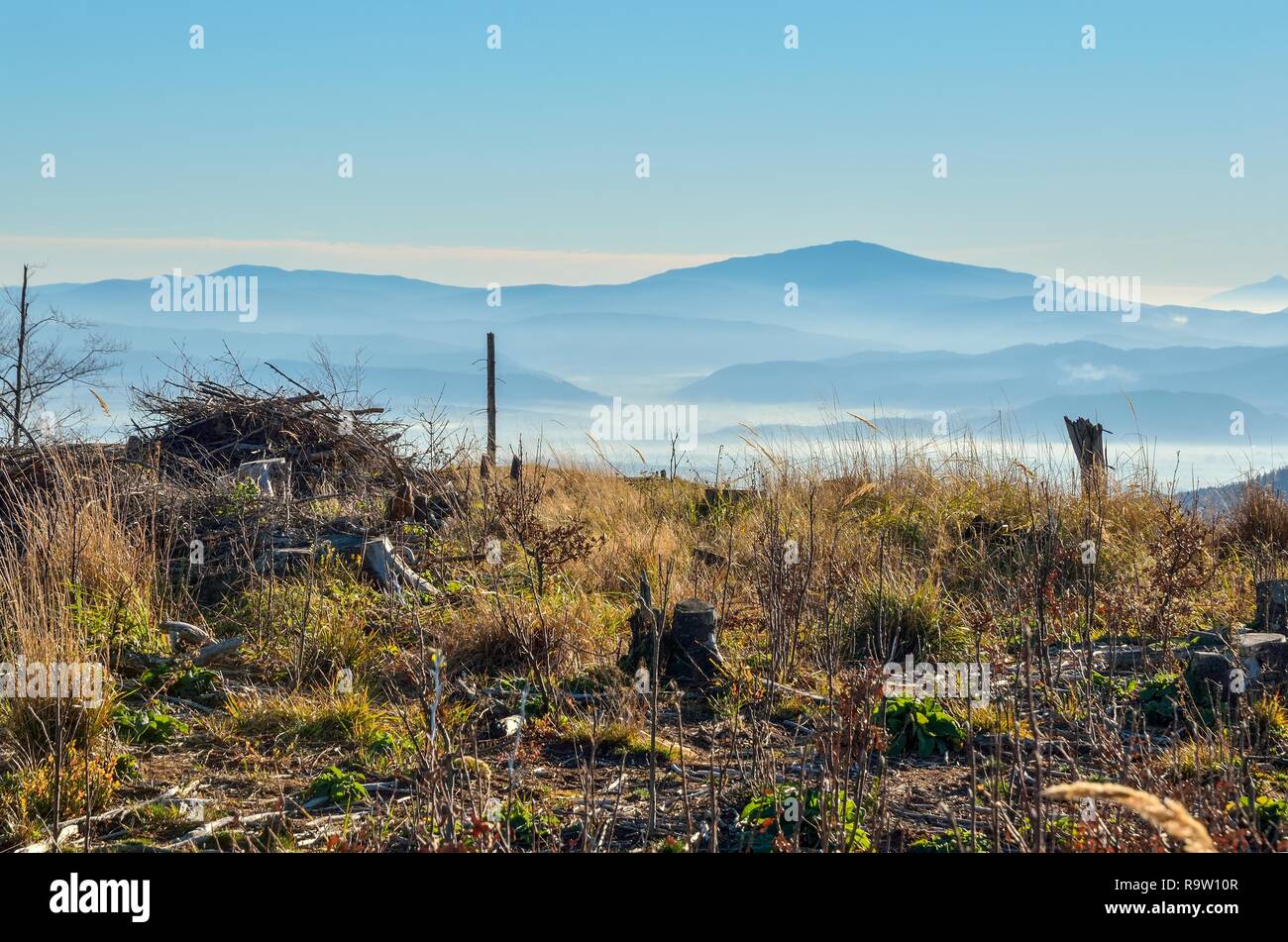 Beautiful autumn mountain morning landscape. Dry autumn meadows and mists in the valleys. Stock Photo