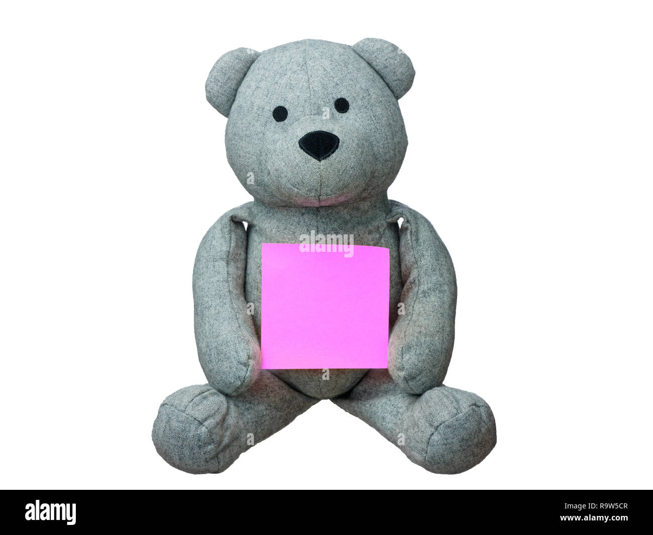 Teddy Bear holding blank card isolated Stock Photo