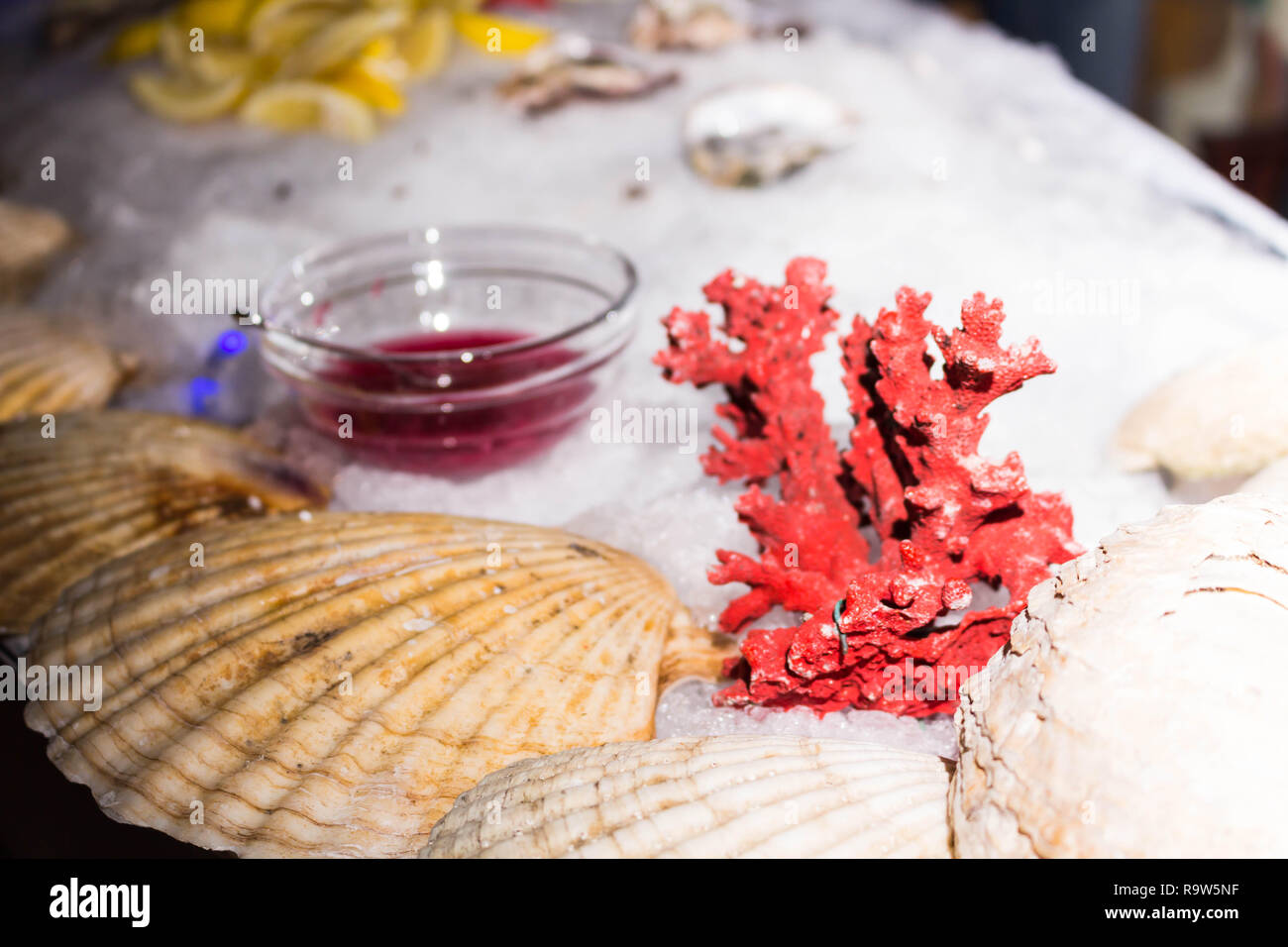 Serving place with ice, lemons, shells and oyster Stock Photo