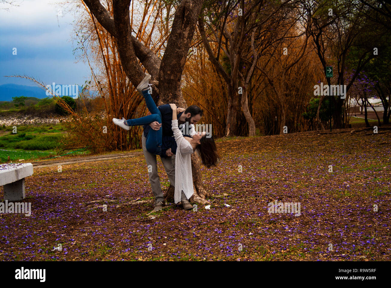 lovers on a tree Stock Photo