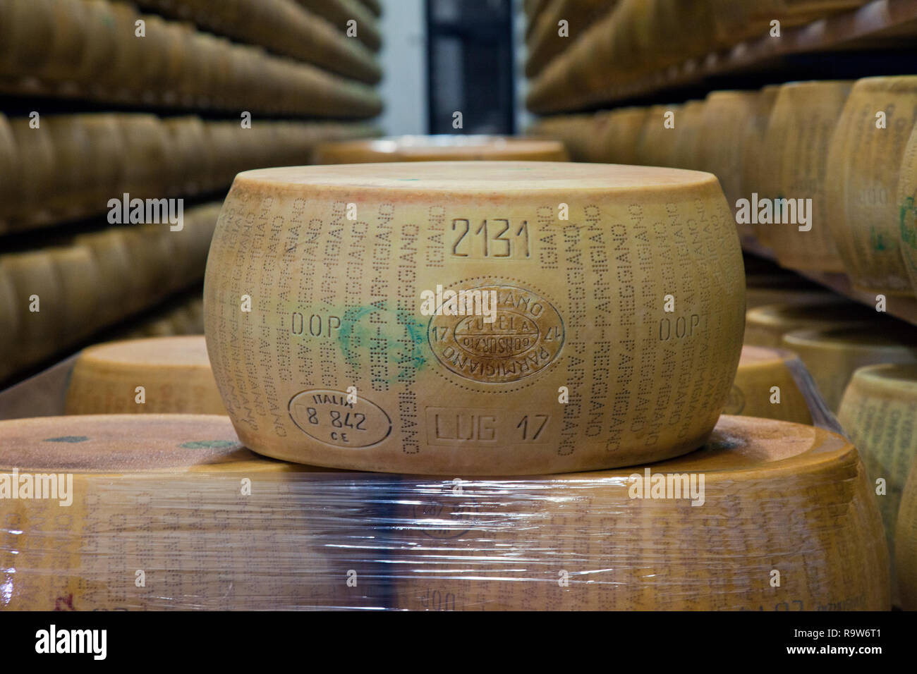Rounds of cheese aging at the Caseificio San Bernardino Parmigiano