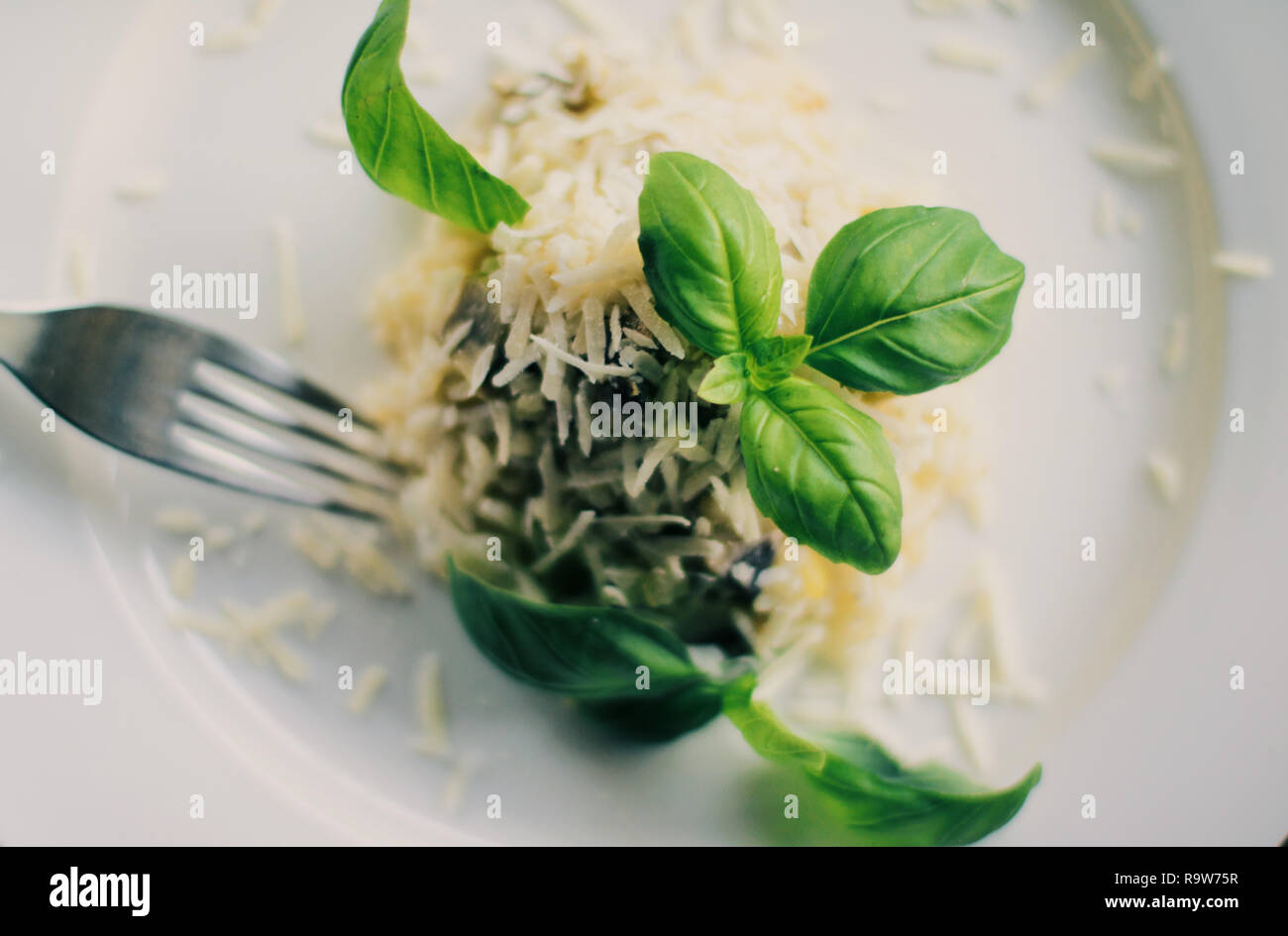 european and mediterranean cuisine styled concept - mushroom risotto ...