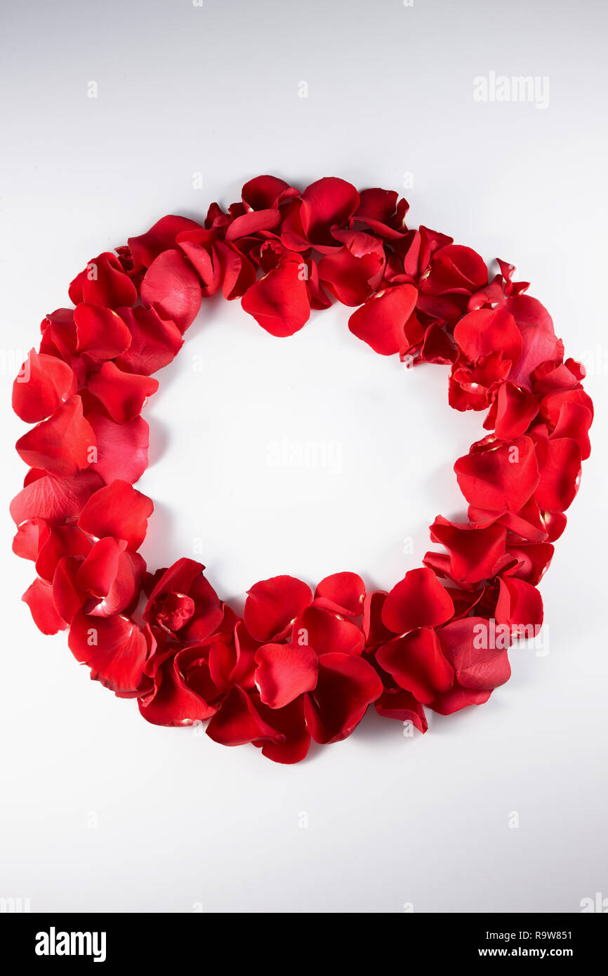 Rose circle hi-res stock photography and images - Alamy