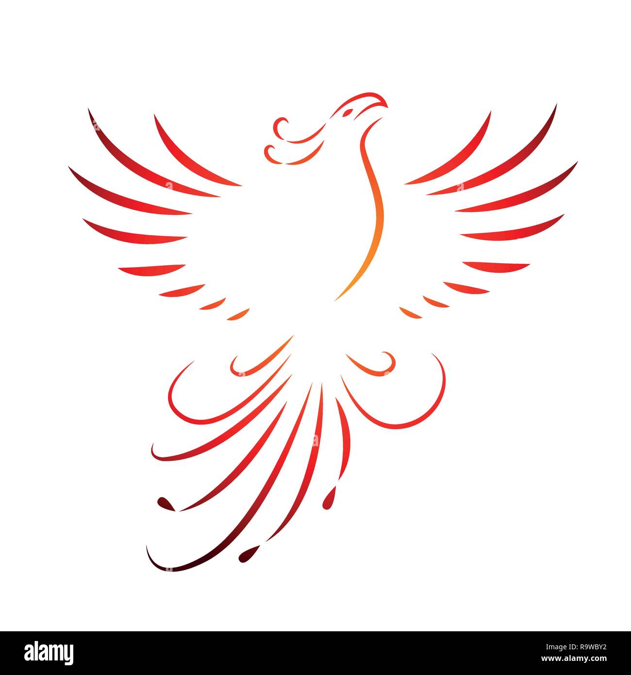red phoenix rising wings line drawing isolated on a white background