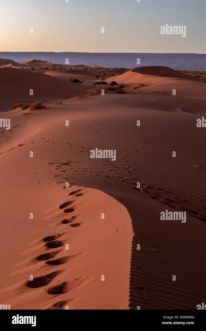 Reportage of the Maroccan desert with people, landscape, building and traditions Stock Photo