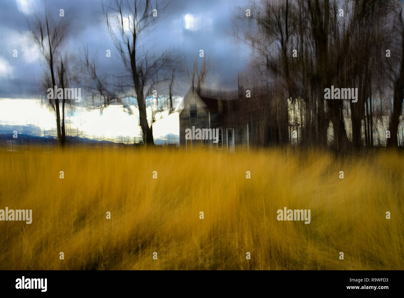 Impressionistic scenes of natural landscapes. Stock Photo