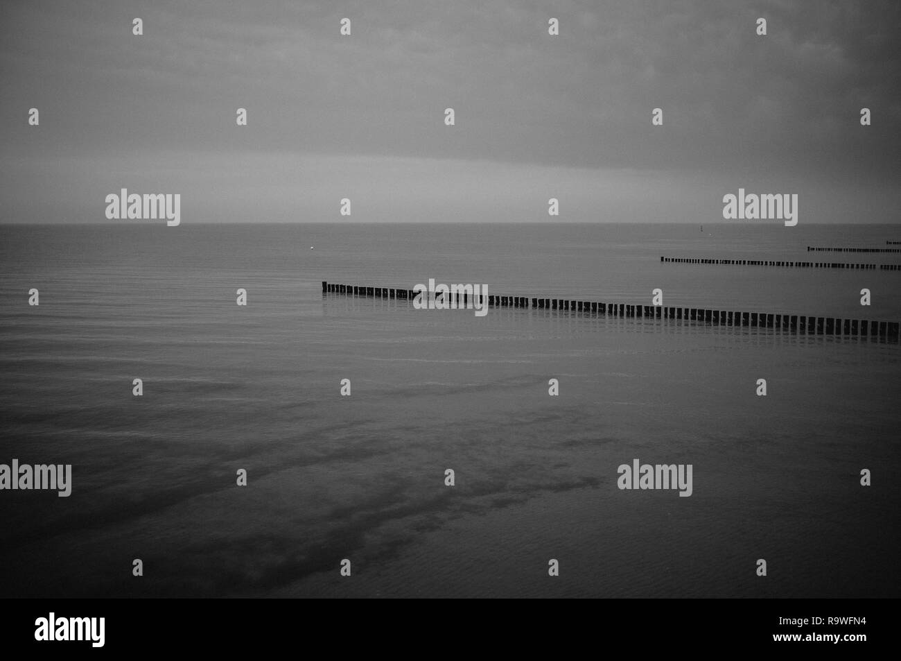 Zingst Black and White Stock Photos & Images Alamy