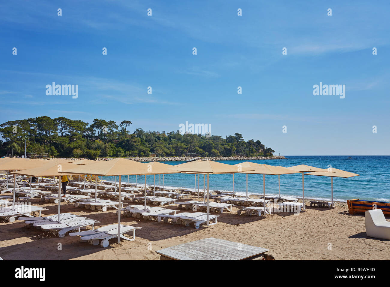 bluewater beach chairs