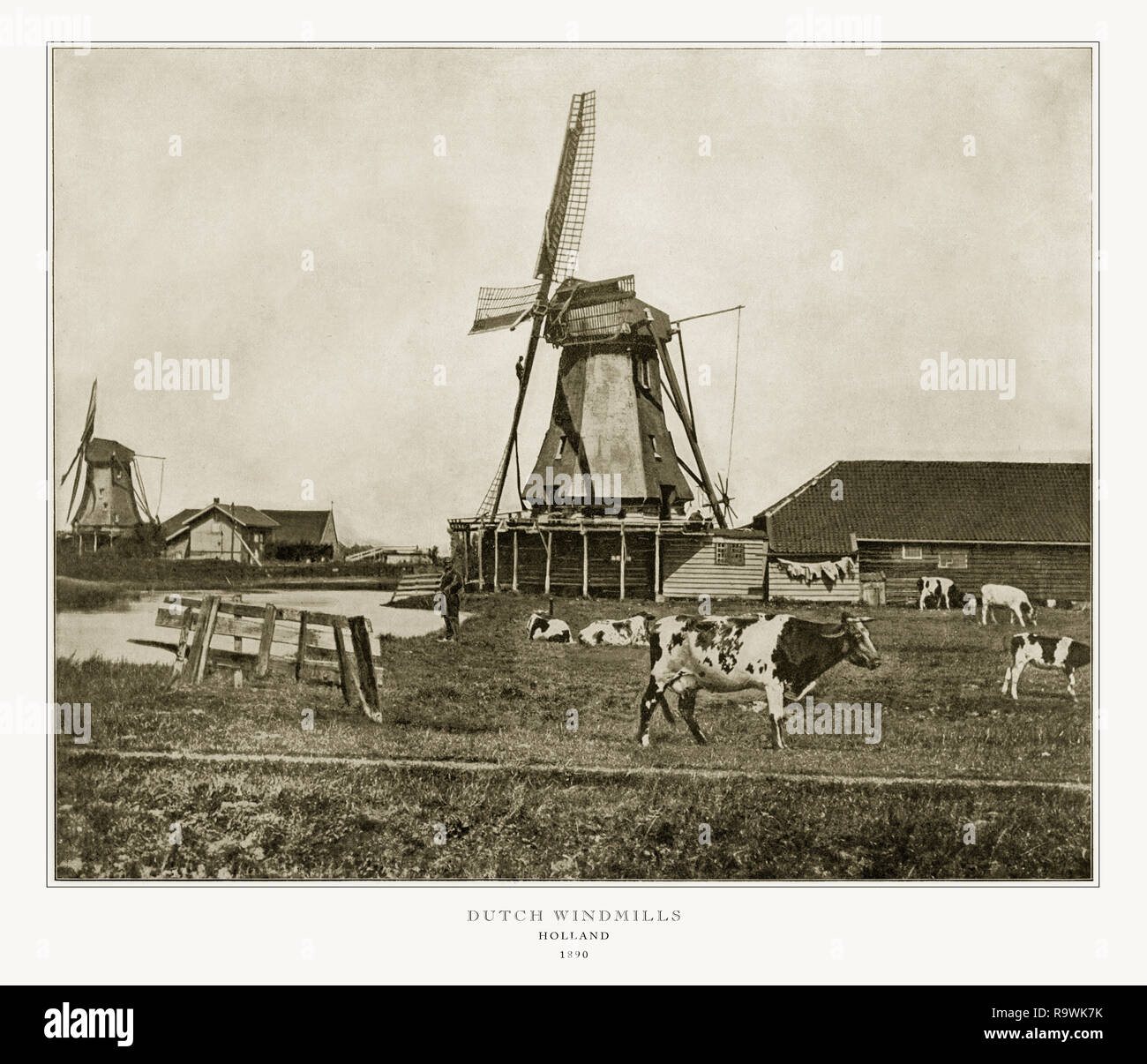 Dutch Windmills, Holland, Antique Dutch Photograph, 1893 Stock Photo Alamy