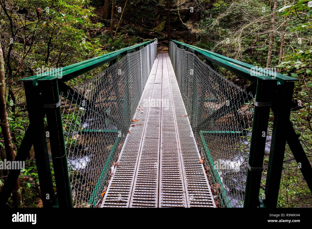 Symmetrical view across a metal footbridge over the Little Gizzard Creek just upstream Foster Falls in Sequatchie Tennessee. Stock Photo