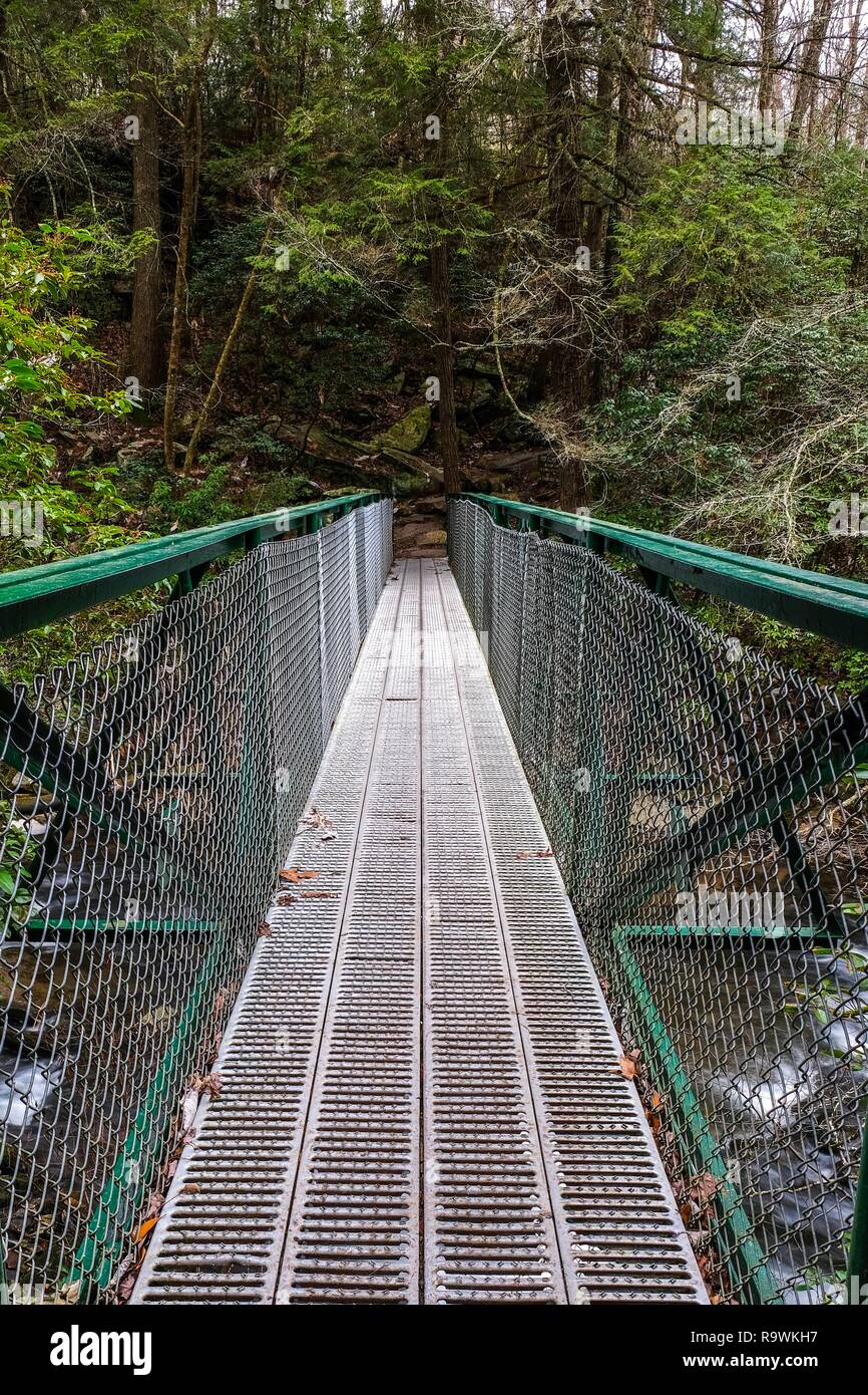 View across a metal footbridge over the Little Gizzard Creek just upstream Foster Falls in Sequatchie Tennessee. Stock Photo