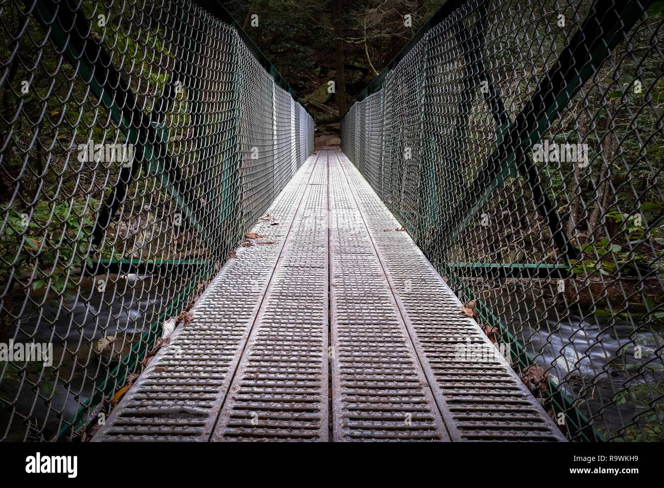 A symmetrical low-angle view of a metal footbridge over the Little Gizzard Creek just upstream Foster Falls in Sequatchie Tennessee. Stock Photo