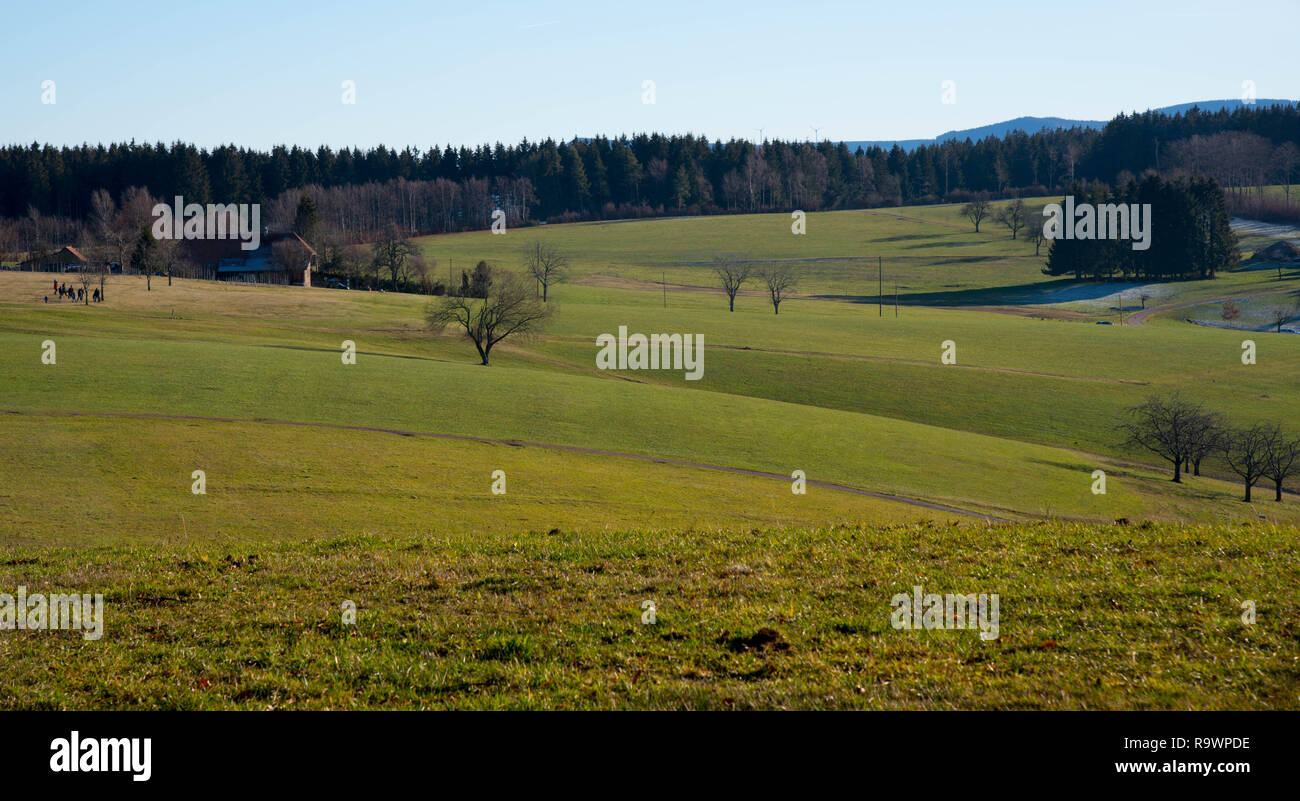 Beautiful black forest near freiamt , view from the tower hünersedel